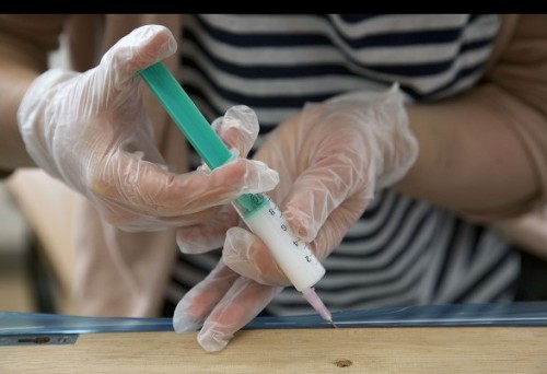 art restoration Swissinfo.3