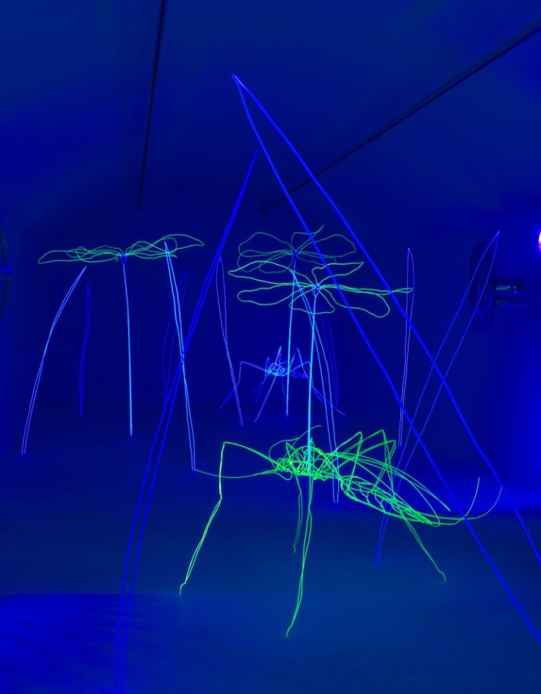 Ideal Nature Machine by Stefan Waibel