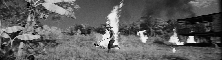 The slash and burn technique that is irradicating the forest.